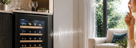 How Loud Are Wine Fridges?